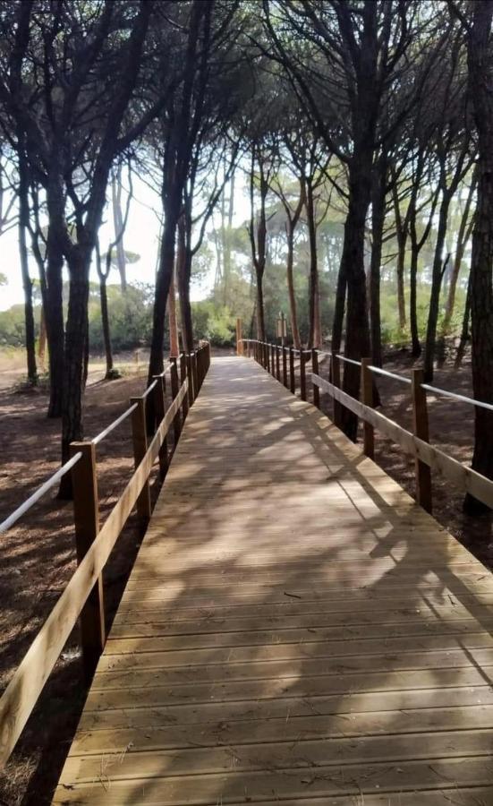אלמאדה Guest House Ruceel Aroeira מראה חיצוני תמונה