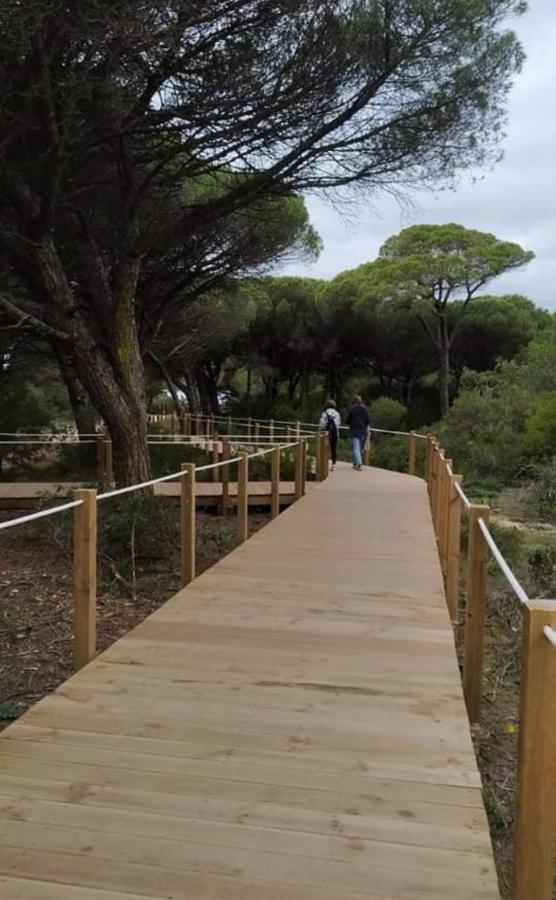 אלמאדה Guest House Ruceel Aroeira מראה חיצוני תמונה